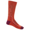 Icebreaker - Women's Hike+ Light Crew - Chaussettes De Randonnée 1 Icebreaker - Women's Hike+ Light Crew - Chaussettes De Randonnée -Chaussures D'extérieur Boutique icebreaker womens hike light crew chaussettes de randonnee bf