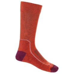 Icebreaker - Women's Hike+ Light Crew - Chaussettes De Randonnée 10 Icebreaker - Women's Hike+ Light Crew - Chaussettes De Randonnée -Chaussures D'extérieur Boutique icebreaker womens hike light crew chaussettes de randonnee bf 3